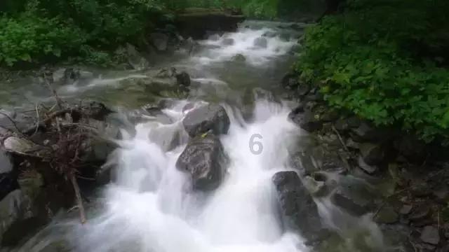 速算小天才